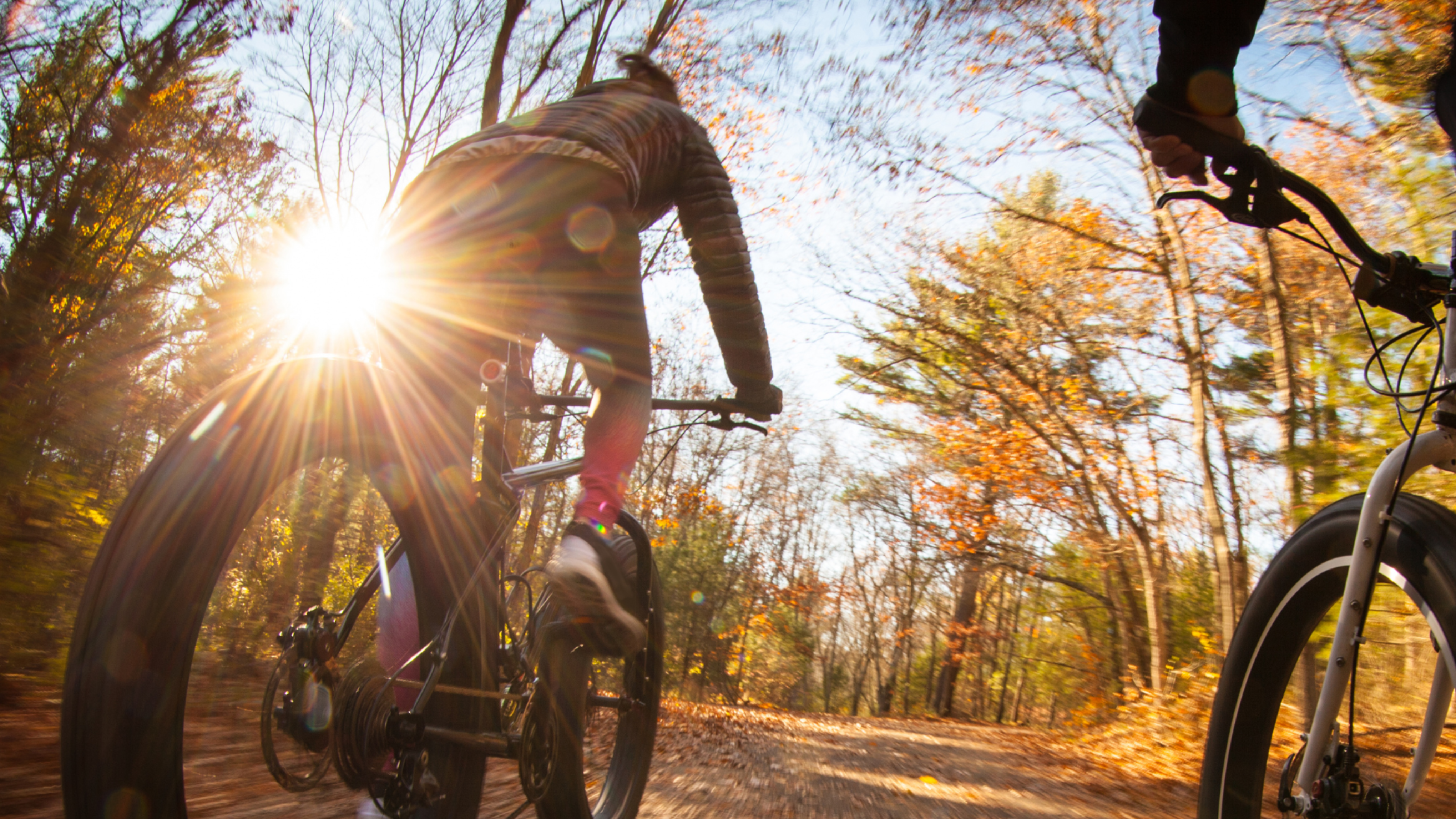 Balade en vélo en forêt autour de Bordeaux