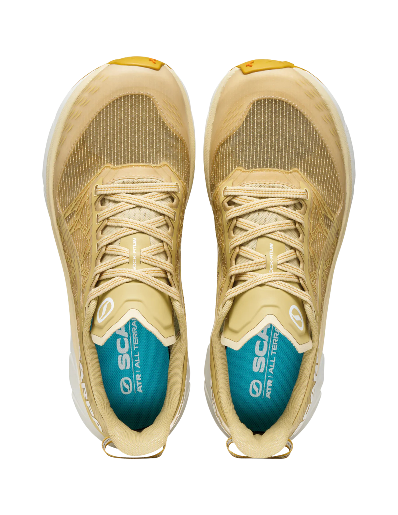 Chaussures de Trail Scarpa Golden Gate 2 Homme